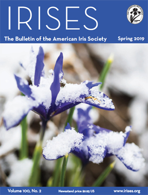 AIS Fall 2018 R2