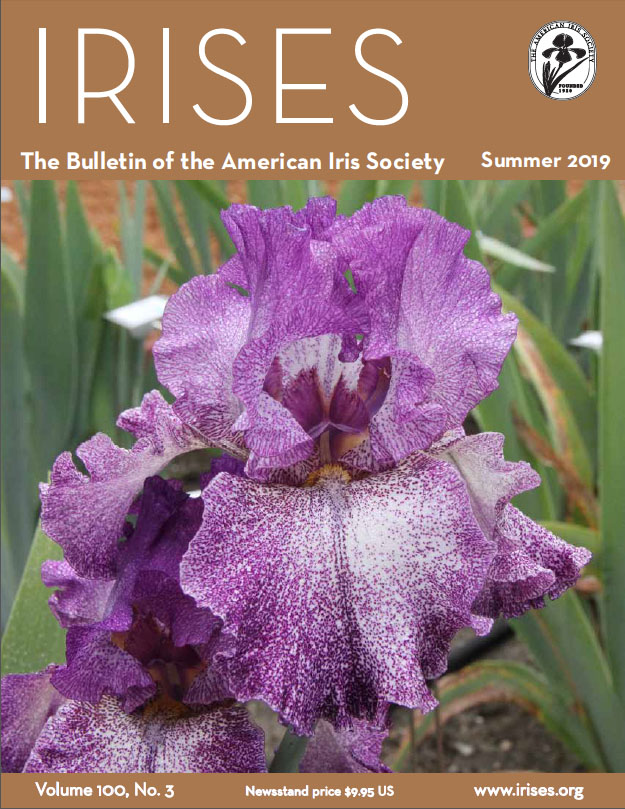 AIS Summerr_2019 Bulletin