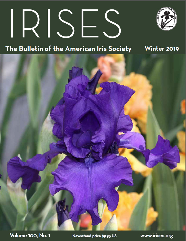 AIS Winter_2019 Bulletin