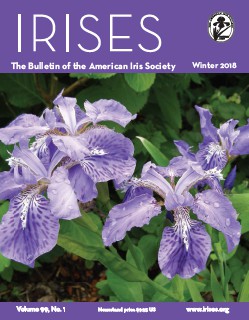 AIS_Winter_2018_Bulletin